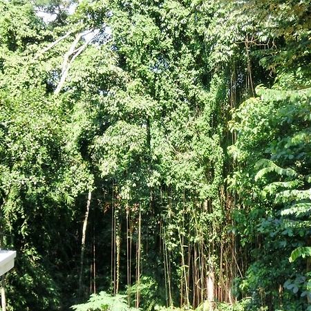 Latugu Homestay Ubud Eksteriør bilde