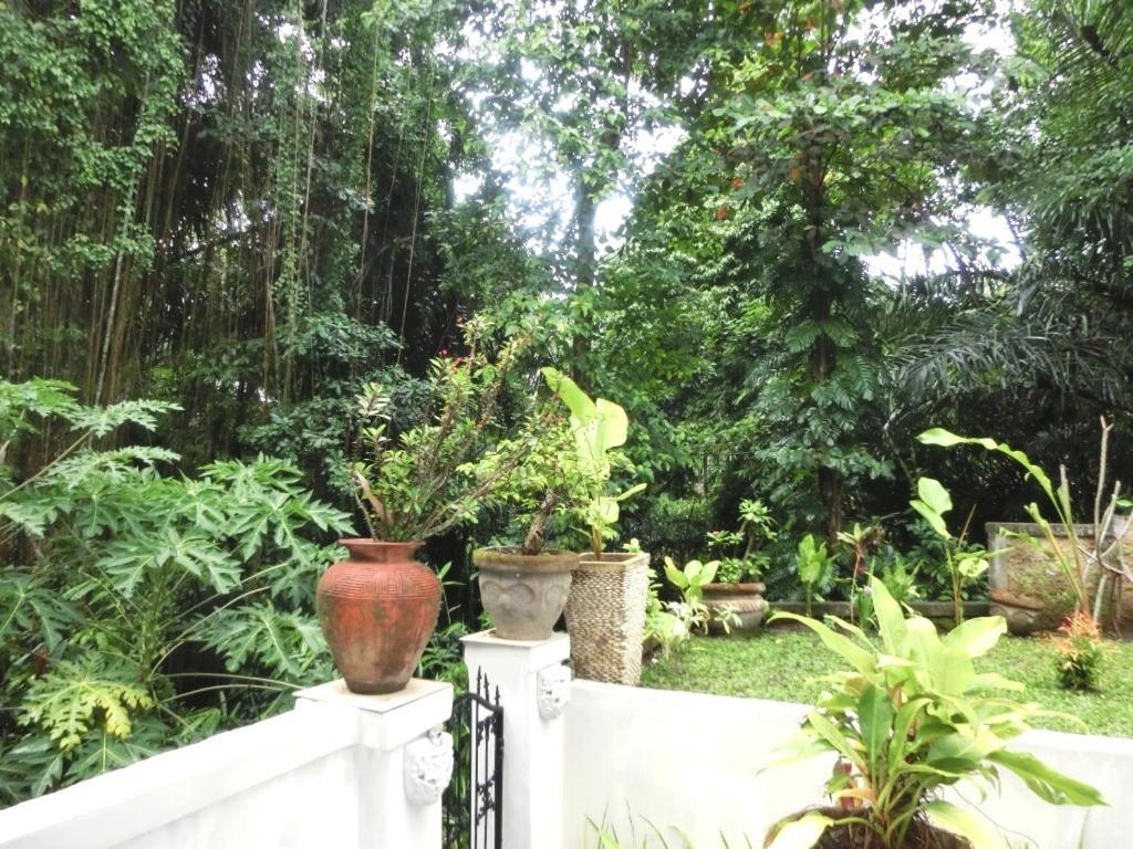 Latugu Homestay Ubud Rom bilde