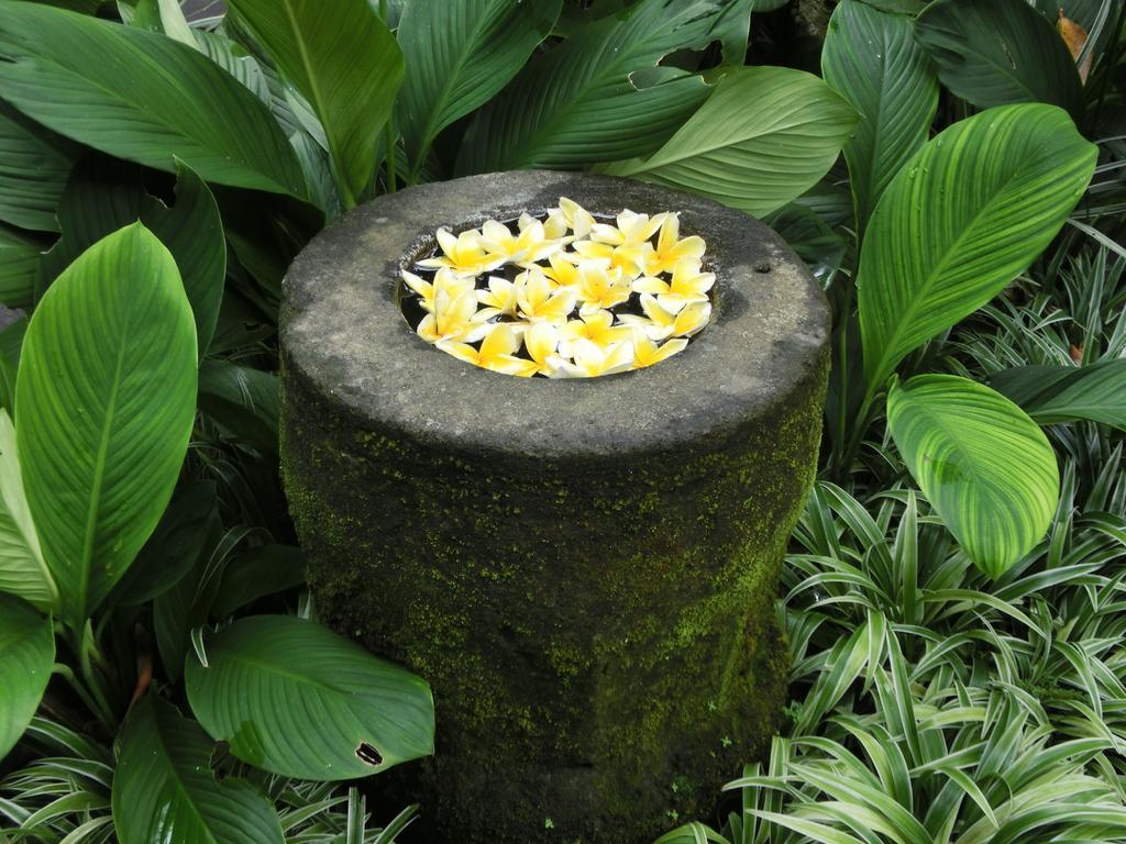 Latugu Homestay Ubud Eksteriør bilde